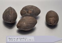 JPG 1851x1290 1101.6kb