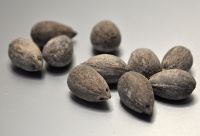 JPG 1200x818 598.8kb