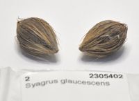 JPG 1000x730 421.4kb