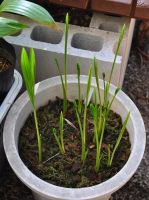 JPG 745x1000 634.0kb