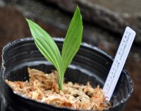 JPG 1000x792 550.6kb