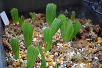 JPG 1200x797 727.9kb