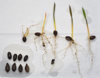 JPG 1200x928 663.8kb