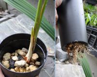 JPG 1000x791 557.6kb