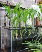 JPG 794x1000 774.3kb