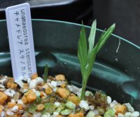 JPG 1000x837 513.2kb