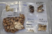 JPG 1200x797 629.4kb