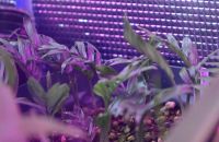 JPG 1200x777 595.7kb