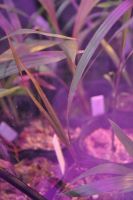 JPG 797x1200 568.3kb