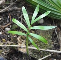 JPG 1200x1182 782.7kb