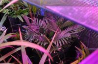 JPG 1000x657 541.0kb