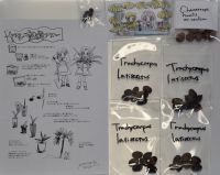 JPG 2060x1638 1455.7kb