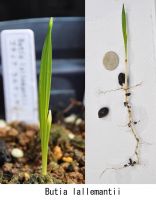 JPG 1016x1304 632.7kb