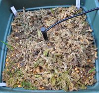 JPG 1000x938 1055.6kb