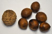 JPG 2745x1812 2495.8kb