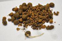 JPG 2313x1518 1596.4kb