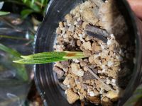 JPG 4000x3000 3096.6kb