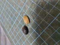 JPG 4000x3000 3828.1kb