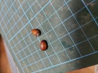 JPG 4000x3000 3776.9kb