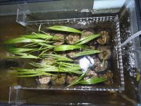 JPG 4000x3000 3682.9kb