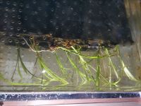 JPG 4000x3000 2633.2kb