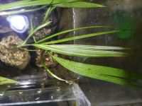 JPG 4000x3000 2797.6kb