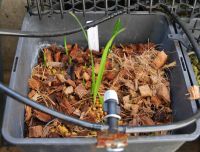 JPG 1200x911 895.9kb