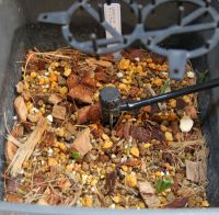 JPG 1021x1000 935.0kb