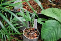 JPG 1200x803 784.8kb