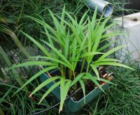 JPG 1200x991 1015.2kb