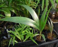 JPG 1200x974 830.8kb