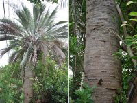 JPG 1200x897 1360.2kb